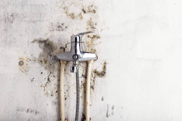 Best Mold Cleaning Services  in Big Stone Gap, VA