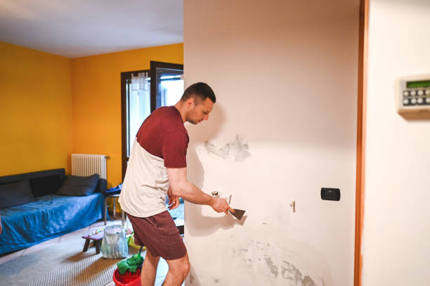 Best Black Mold Removal  in Big Stone Gap, VA